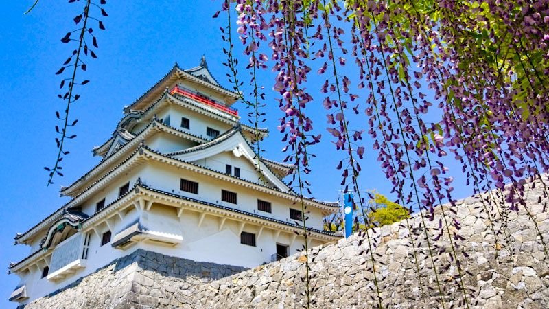 🌸 모란과 초록의 언덕 (보탄토 미도리노오카) 이미지 4